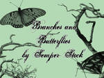 Branches and Butterflies by Semper-Stock