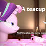 [SFM/MLP][DL] Teacups!