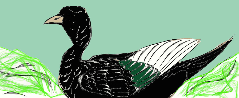 black bird by BenjiNgaihte on DeviantArt