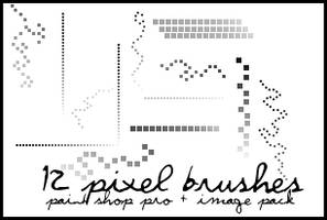 12 pixel brushes + image pack