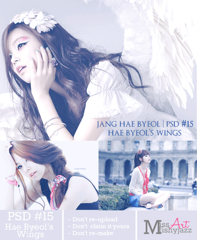 PSD #15 Hae Byeol's Wings