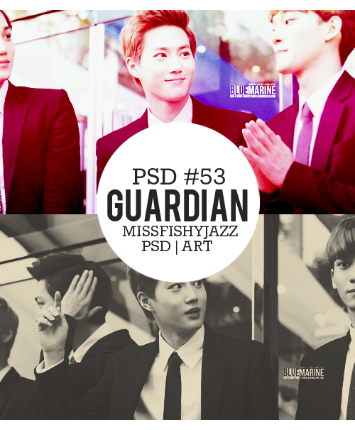 PSD #53 Guardian [missfishyjazz]