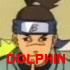 Iruka to Dolphin