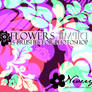 Flowers Limpid Brushes