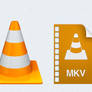 VLC files type