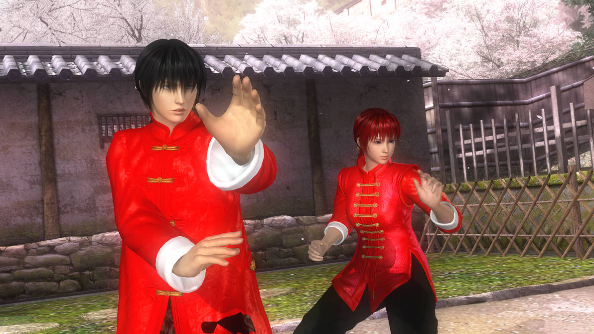 Ranma Saotome in Dead or Alive 5 by KyleKatarn1980 on DeviantArt