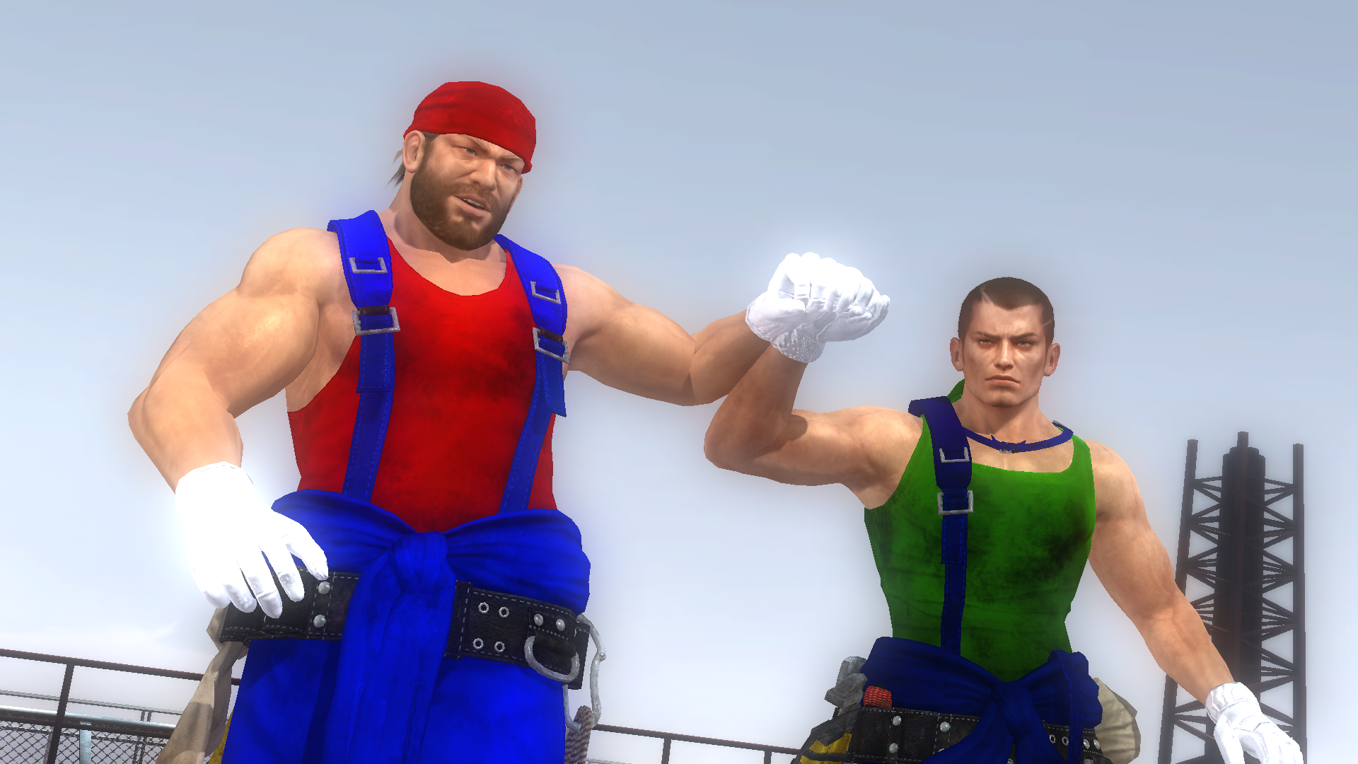 Mario and Luigi in Dead or Alive 5: Last Round by KyleKatarn1980 on ...