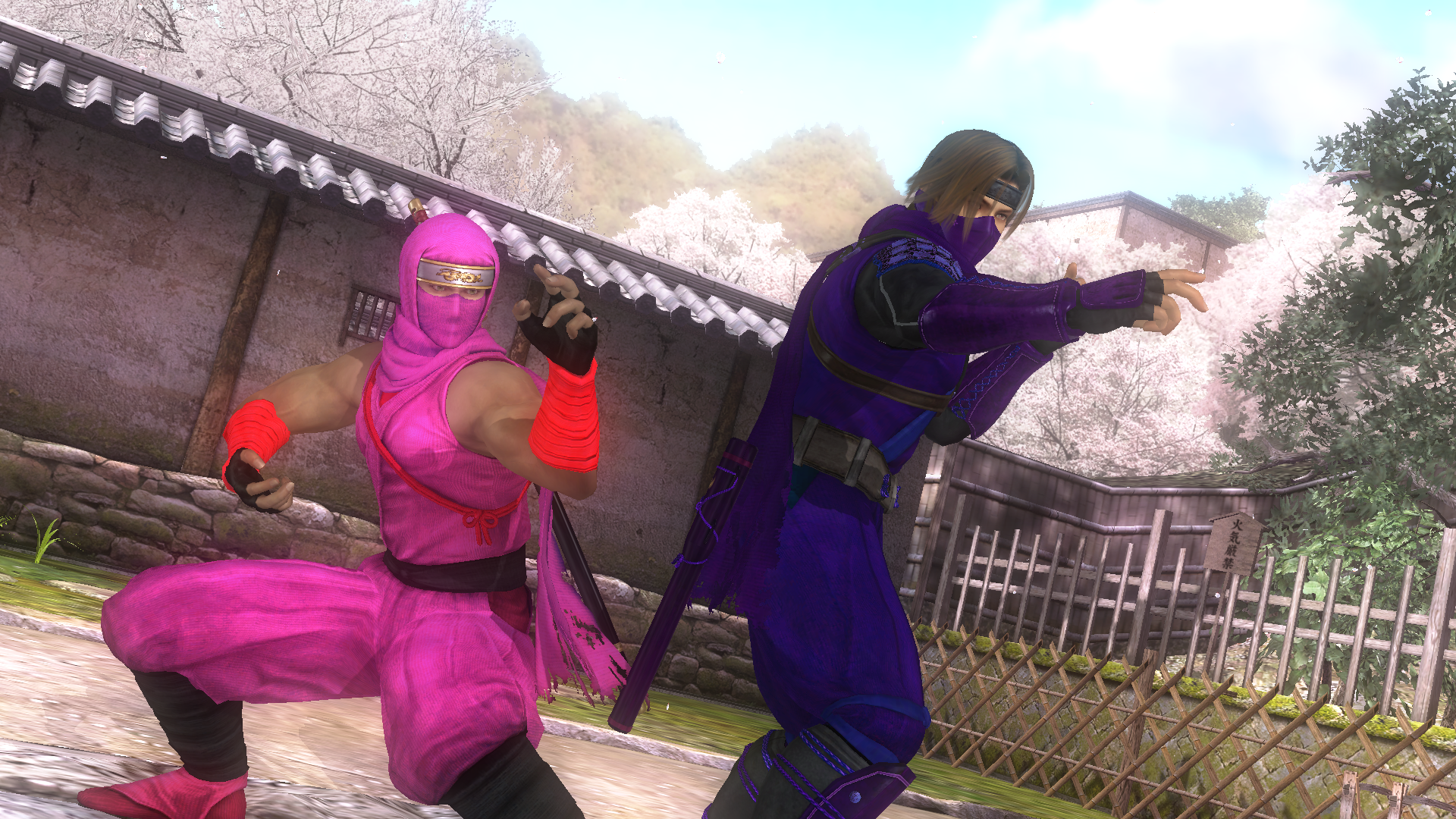 Pink and Purple Ninja in Dead or Alive 5 by KyleKatarn1980 on DeviantArt