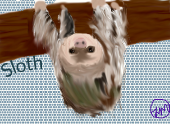 Sloth