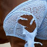 Horse in Panties 3