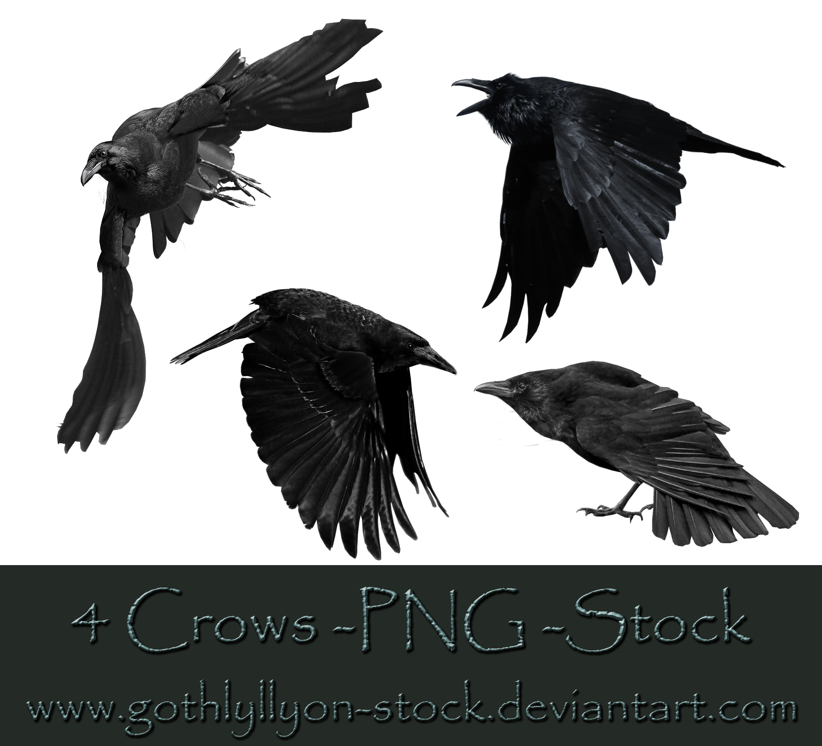 Crows-Stock-by-GothLyllyOn-Stock
