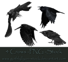 Crows-Stock-by-GothLyllyOn-Stock