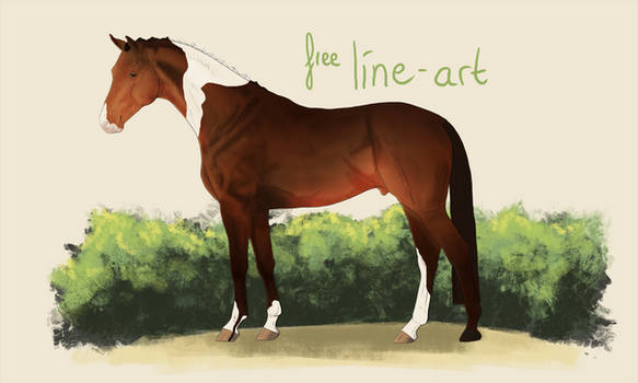 Warmblood Line-art