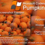 Microsoft Codename Pumpkin Theme For Windows 10