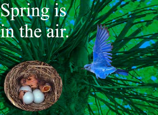 Spring Is In The Air by MatthewBMiller on DeviantArt
