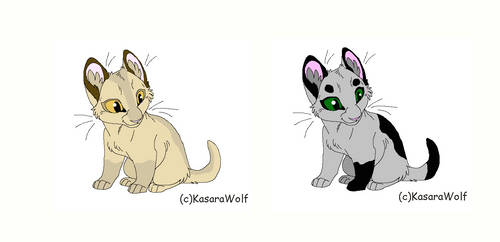 Warrior Cats Adoptables (Name Price)