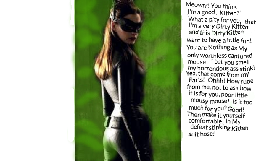 catwoman-fart-picture-by-maxinator93-on-deviantart