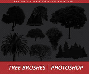Tree Brushes | Photoshop