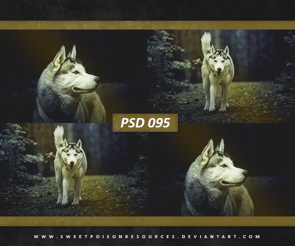 PSD 095 - Coloring