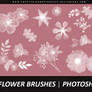 Flower Brushes 002 - Photoshop