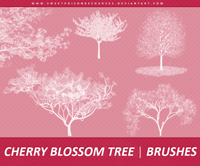 Cherry Blossom Tree | Brushes