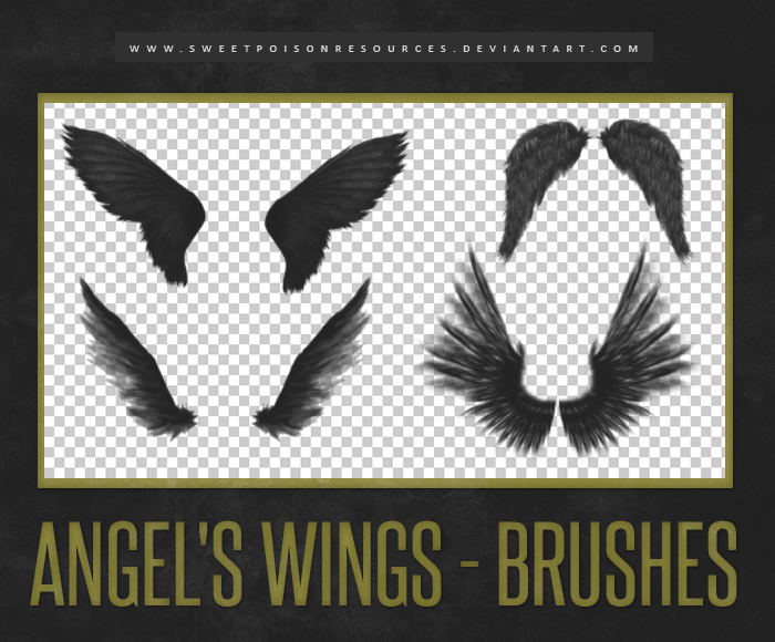 Angel's Wings - Brushes