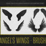 Angel's Wings - Brushes