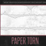 Paper Torn | PNG
