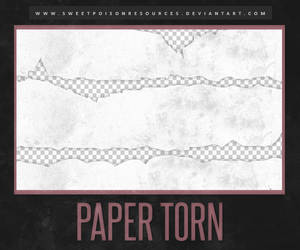 Paper Torn | PNG