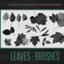 Leaves Brushes | Photoshop