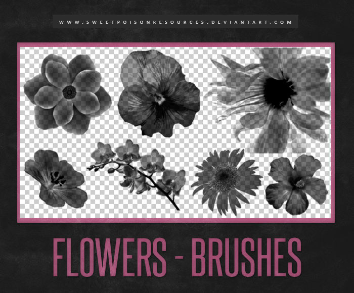 Flowers Brushes | Photoshop by sweetpoisonresources on DeviantArt