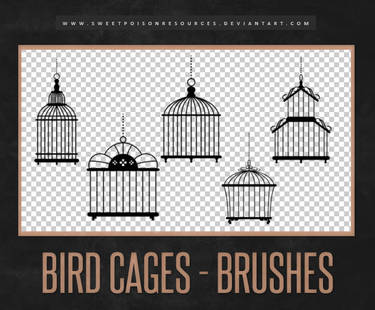 Bird Cages | Brushes