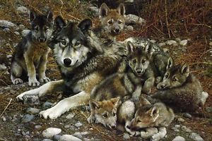 Families can be together forever