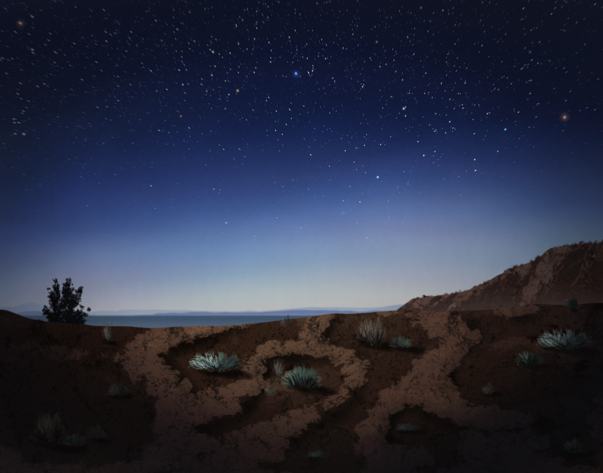 Starry Desert Sky