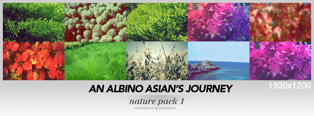 An Albino Asian's Journey 1