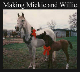 Making Mickie and Willie Part 1