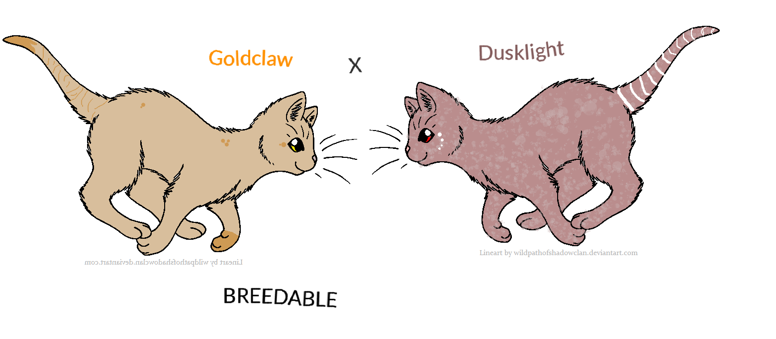 GoldclawXDuskflight-BREEDABLE-La Closed!