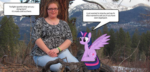 Twilight sparkle and I.