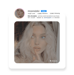 NEW IG template vol. 1
