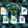 Torrent Filetypes