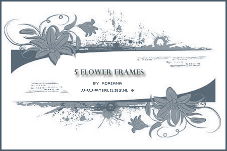 Flower Frames