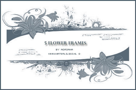Flower Frames
