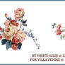 Texture set A21
