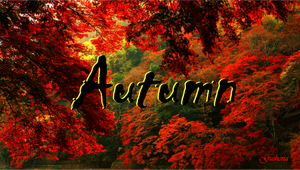 Autumn has come... -  Animated Thought