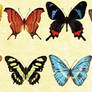 Mac Icons - Butterflies Set 2