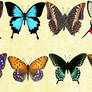 Mac Icons - Butterflies Set 3