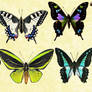Mac Icons - Butterflies Set 4