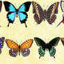 Windows Icons - Butterflies Set 3