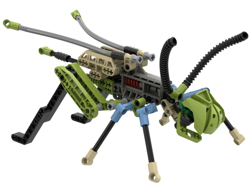 Toa mata nui instructions hot sale