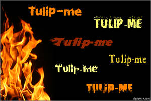 Flame Fonts